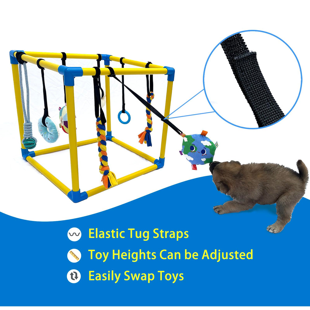 Dewonch play gym shows the bungee suspension in action for safe, interactive paw play.
