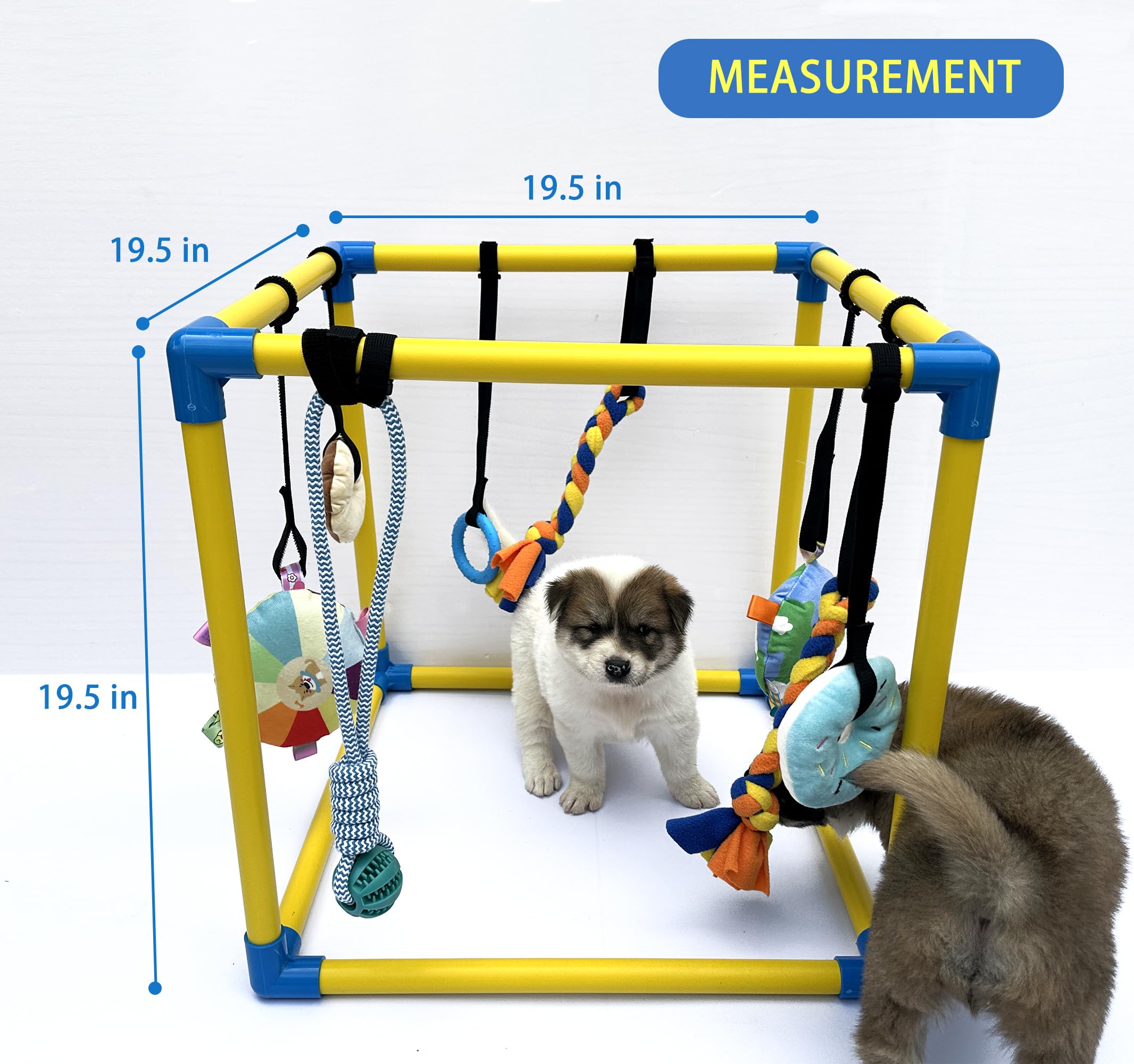 Dewonch indoor play gym assembled in minutes for quick puppy enrichment.