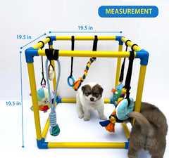 Dewonch indoor play gym assembled in minutes for quick puppy enrichment.