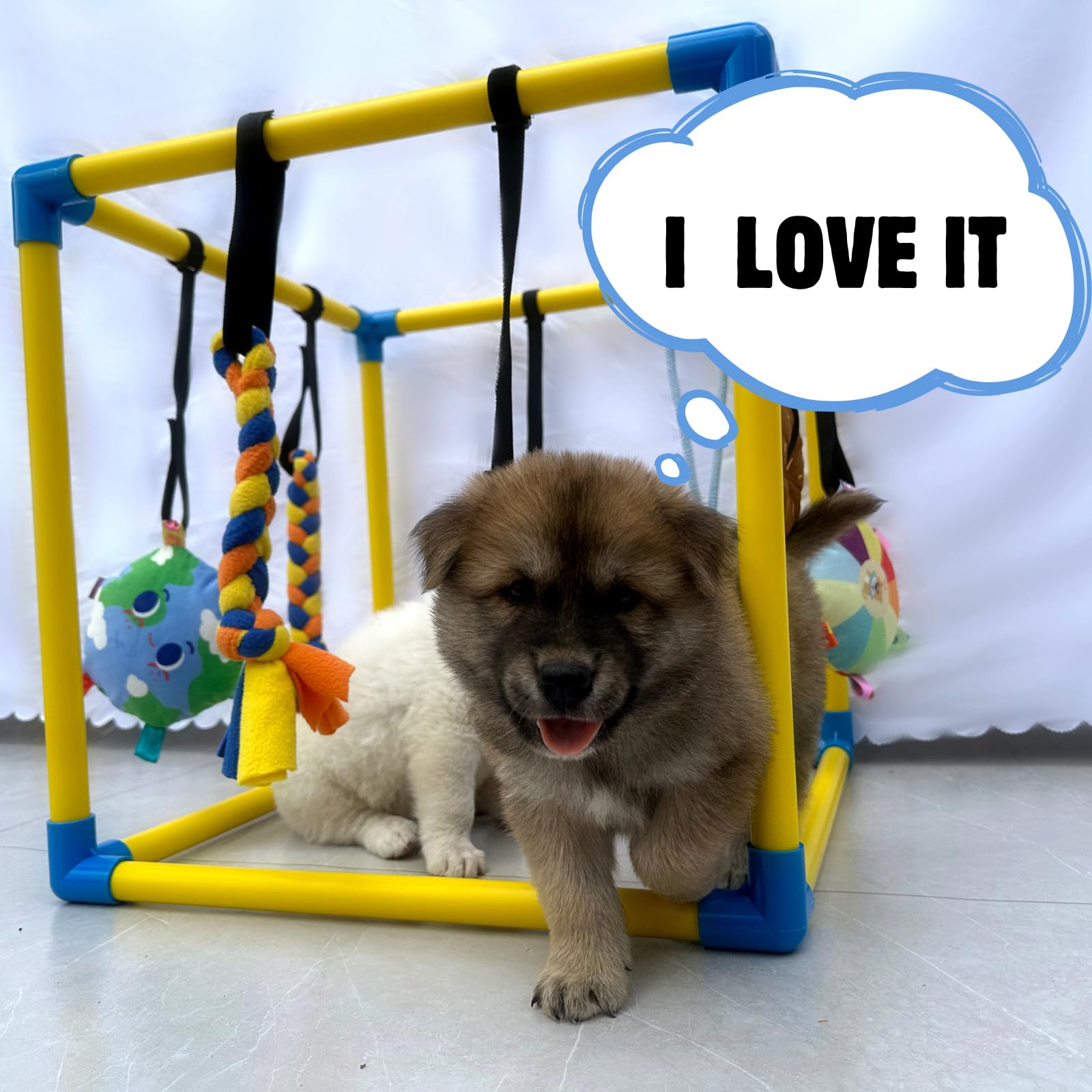 Dewonch play gym fits inside most whelping boxes for indoor growth.