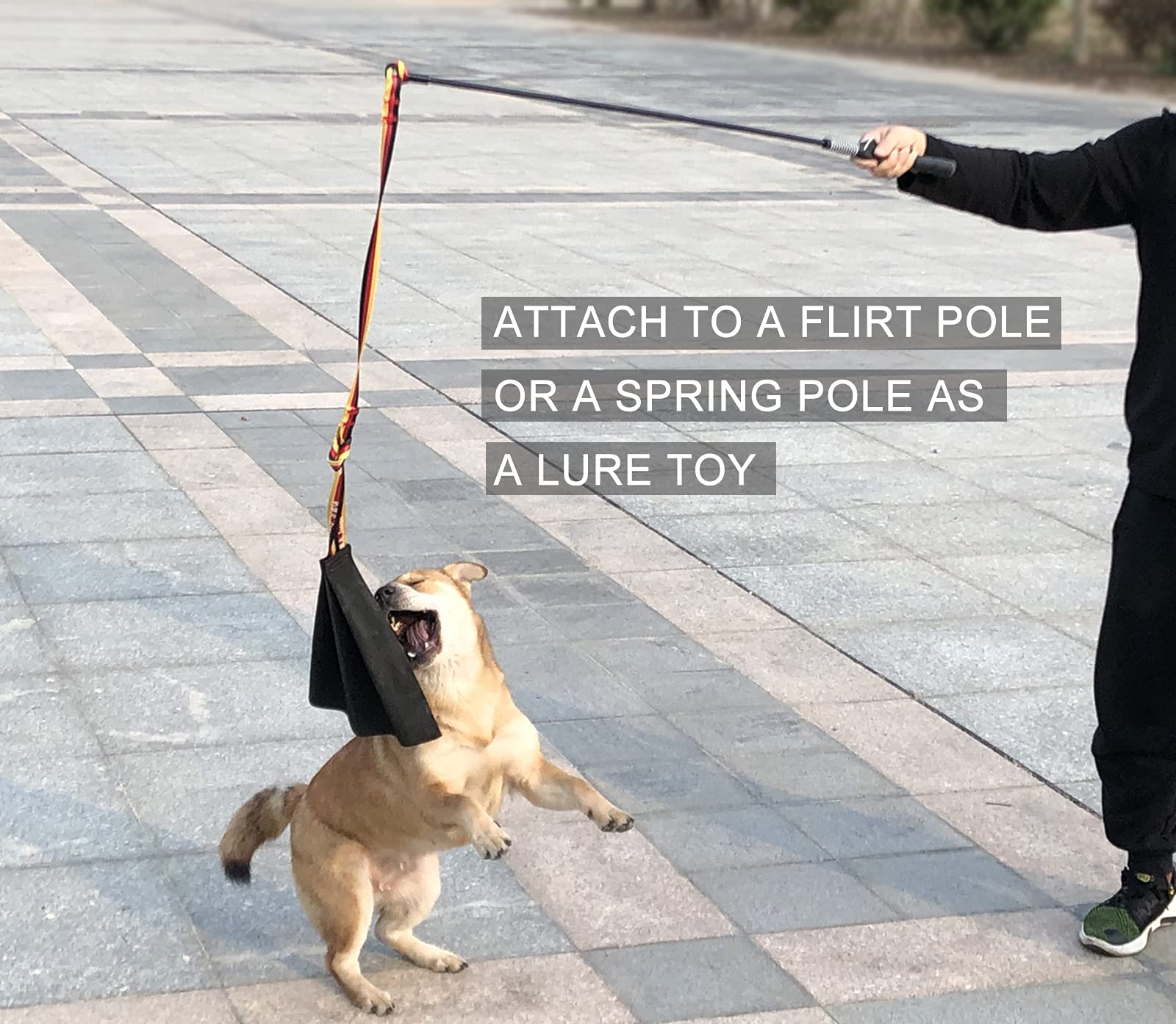 Dewonch puppy bite rag aids prey-drive development during training