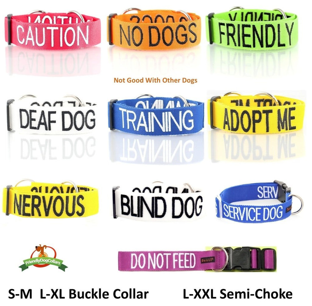 Dexil Adopt ME color-code badge chart highlights temperament at a glance for safer outings.