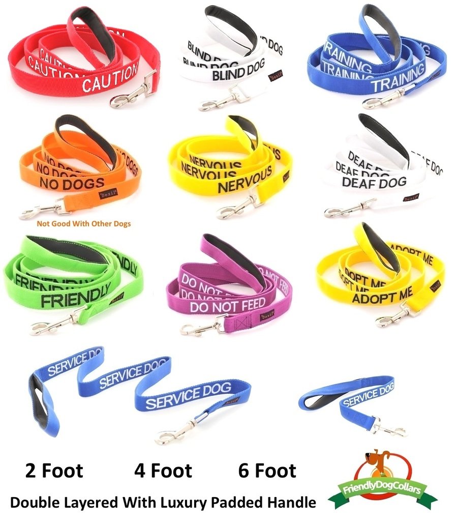 Dexil Adopt Me color-coded leash showing temperament for safer public spaces