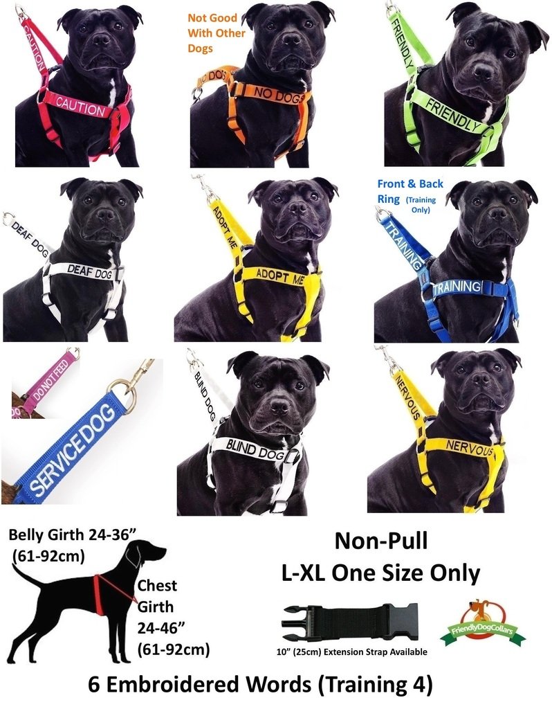 Dexil Adopt Me cues on leash helping prevent public incidents