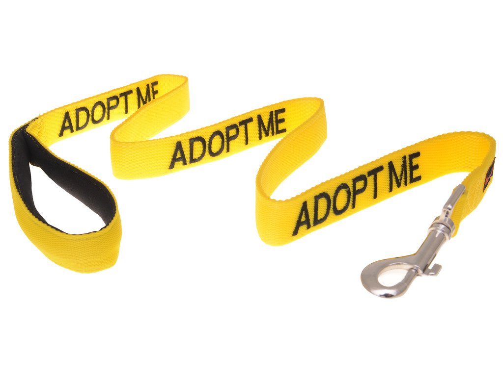 Dexil Adopt ME yellow leash, 4 ft padded handle for steady daily walks.