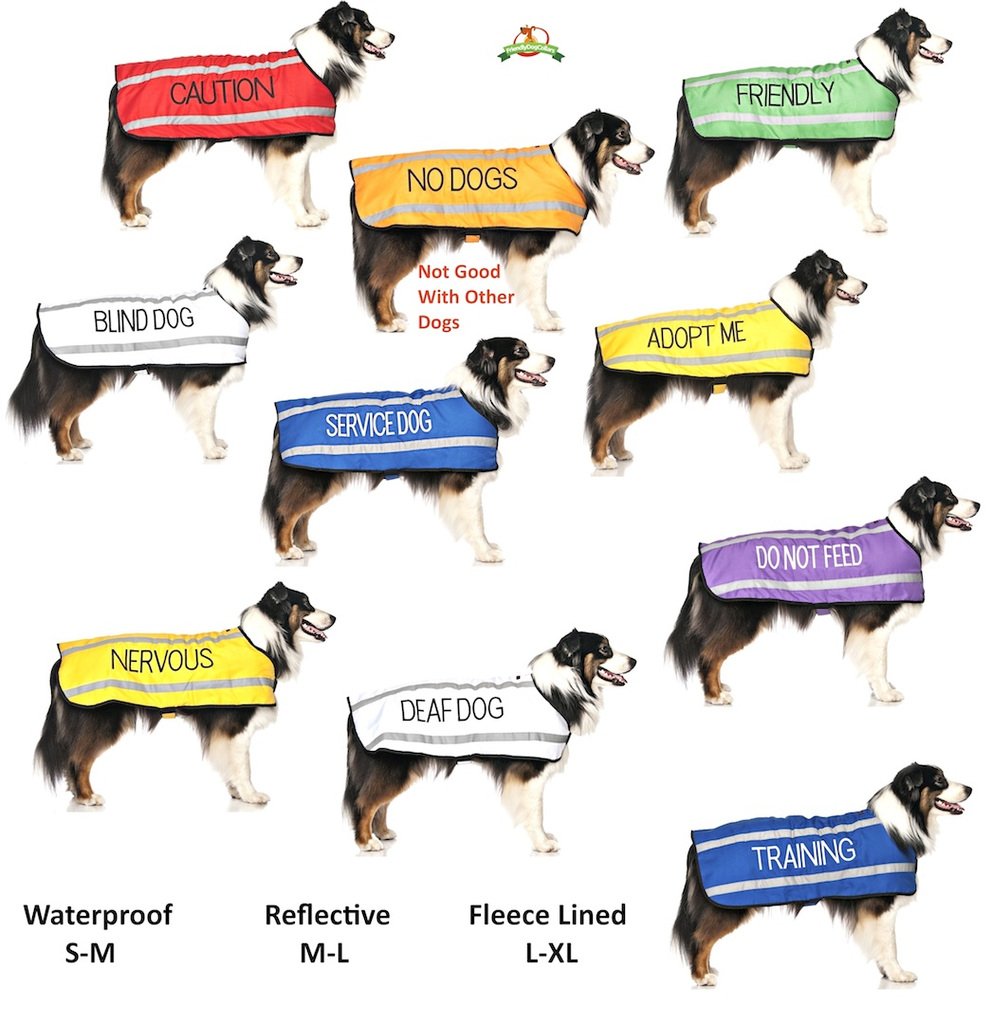Dexil charity-focused packaging promotes donations to help dogs find homes.