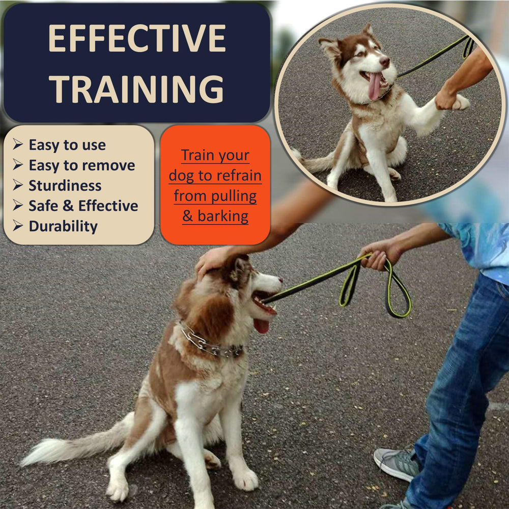 DEYACE adjustable stainless steel collar fits growing dogs