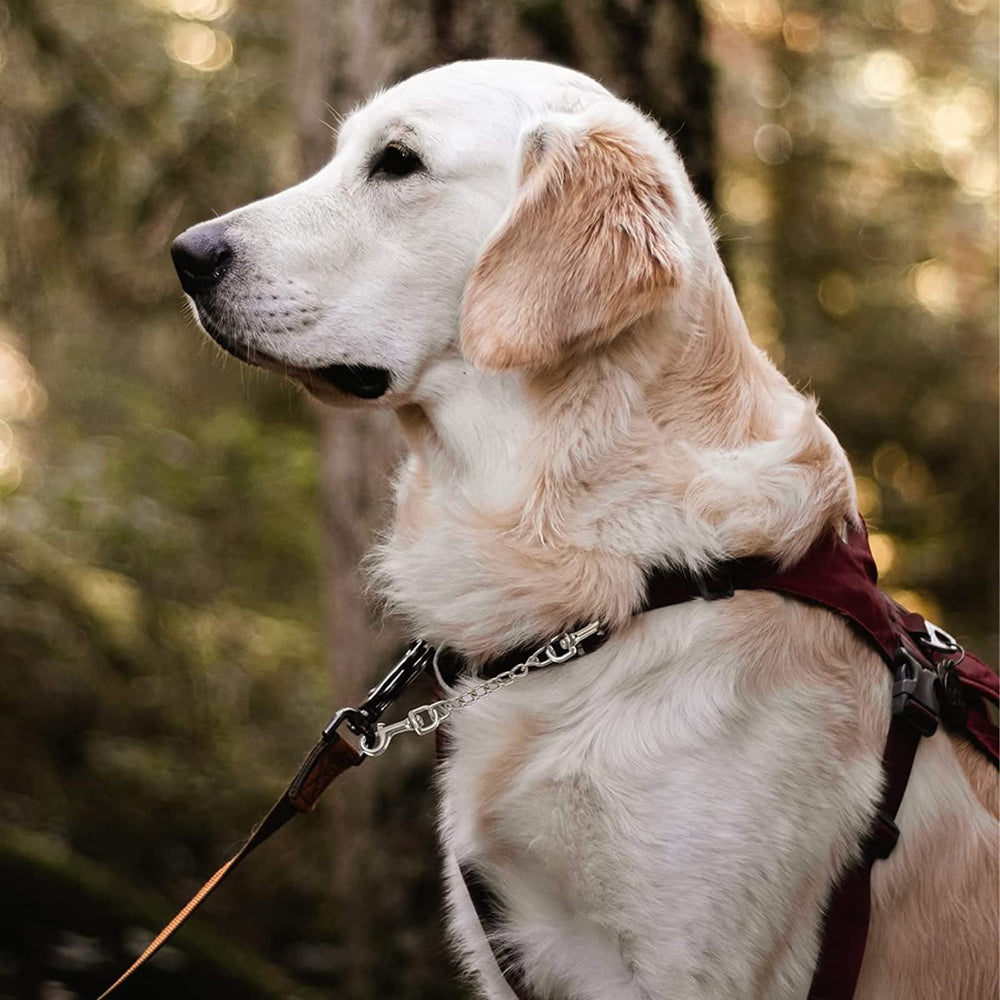 DEYACE collar-harness connector works with all dog sizes.