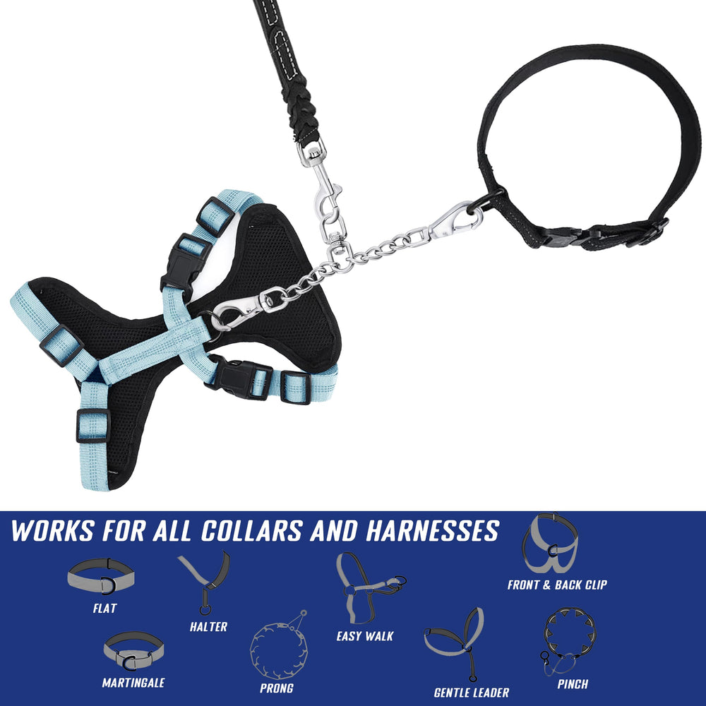 DEYACE puppy walk setup demonstrates extra safety during training