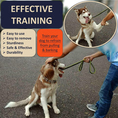 DEYACE stainless steel collar in adjustable configuration for a precise fit
