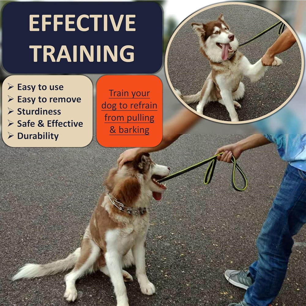 DEYACE stainless steel dog collar offers durable construction for training.