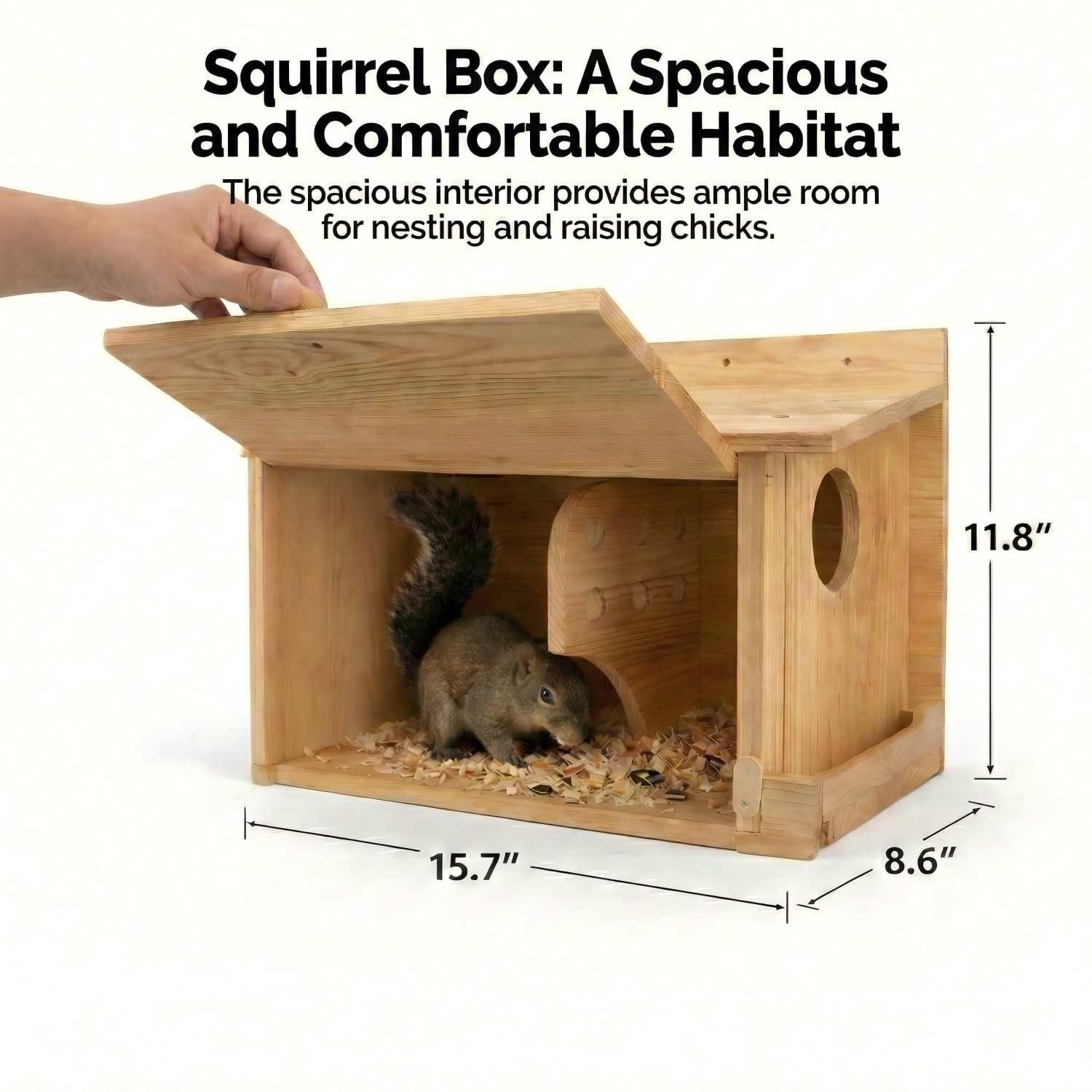 DFWRFVA squirrel feeder is integrated outside, simplifying feeding without leaving the nest.