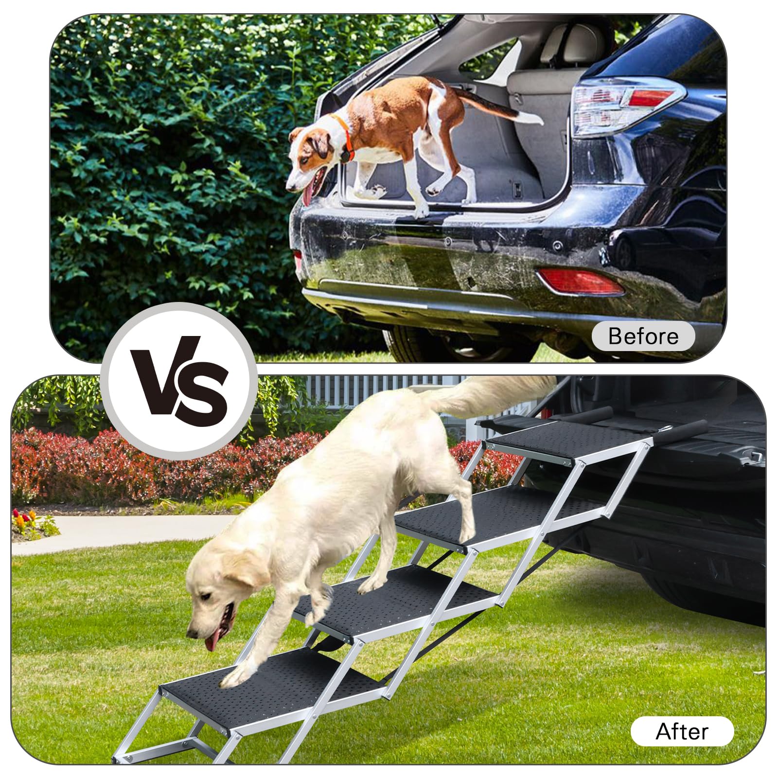 DGSL ramp supports up to 250 lbs for most dog sizes