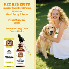 Dgtkayi Advanced Vision Formula dropper enabling quick sublingual dosing for dogs.