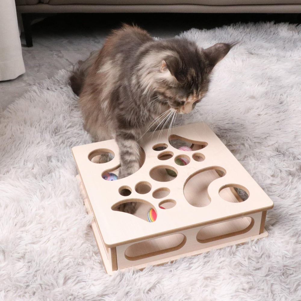 DI BI GRAMAS box arrives ready to use for kittens.