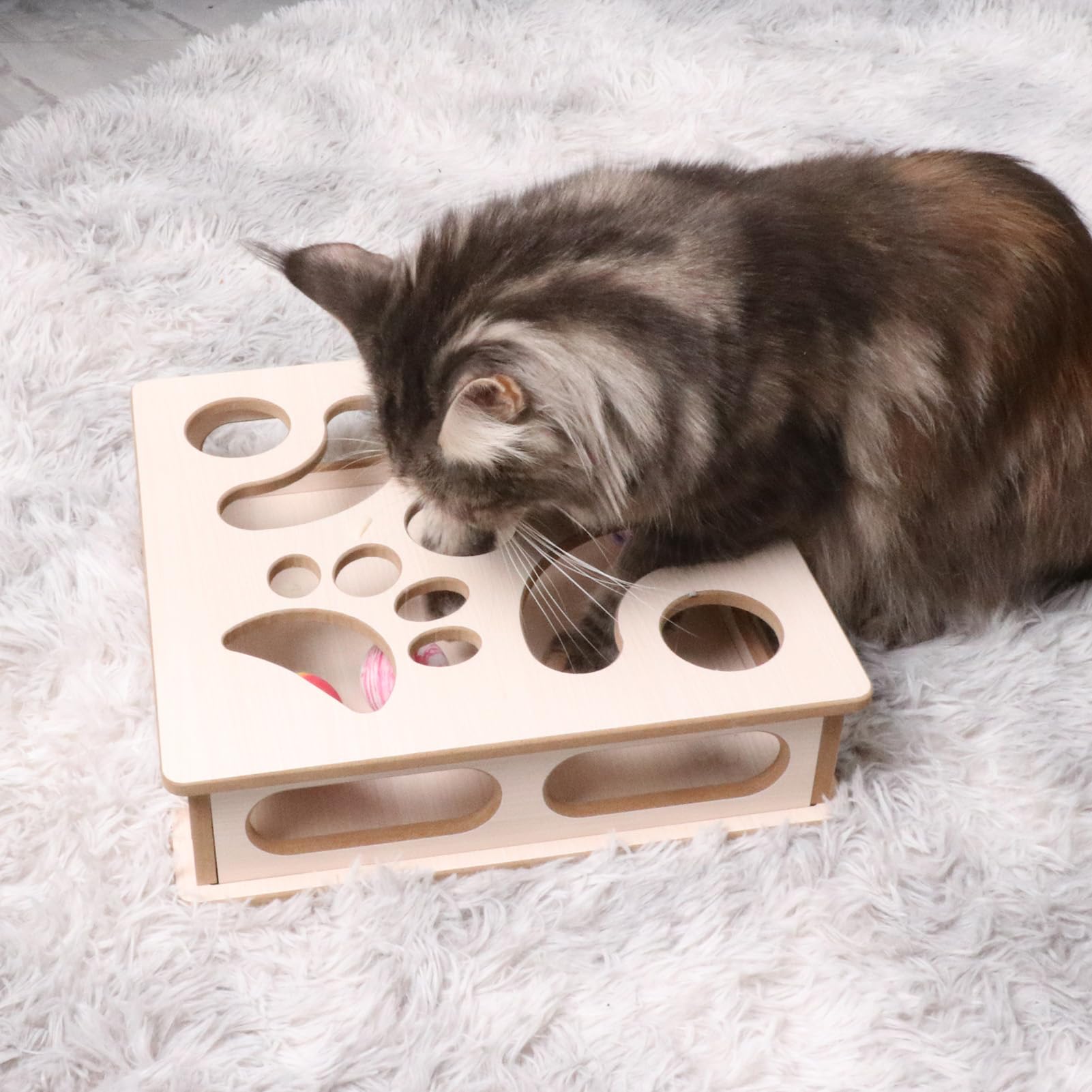 DI BI GRAMAS indoor hunting play area supports focused kitten activity.