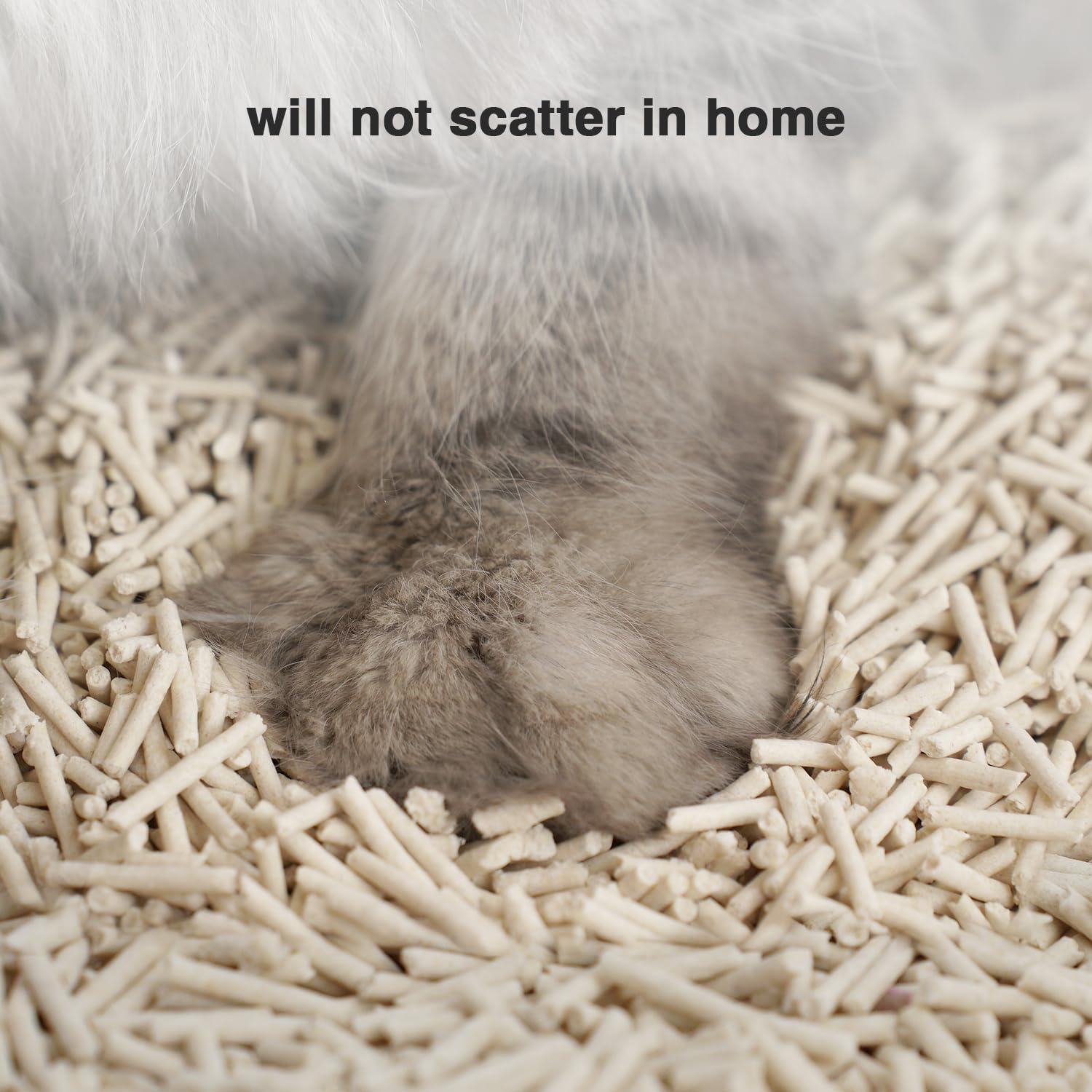 DI BI GRAMAS tofu cat litter long shape reduces scatter.