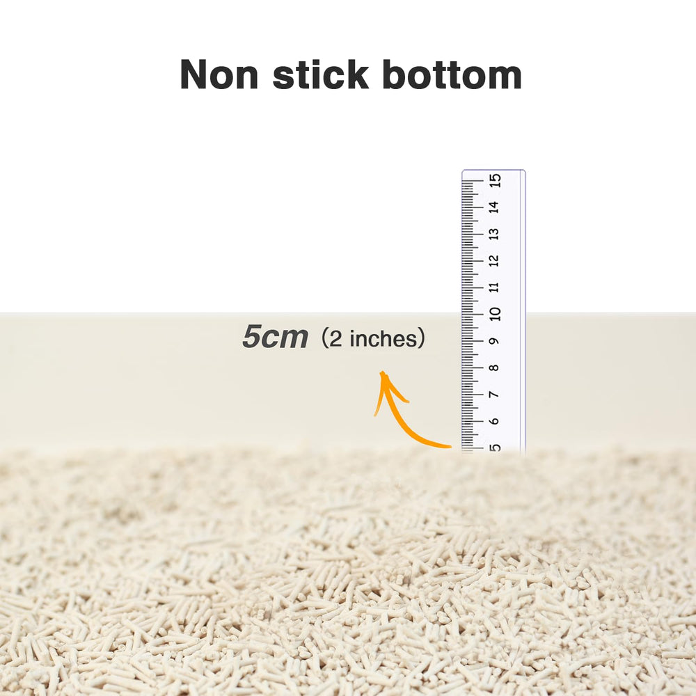 DI BI GRAMAS two-inch depth of litter in a box setup