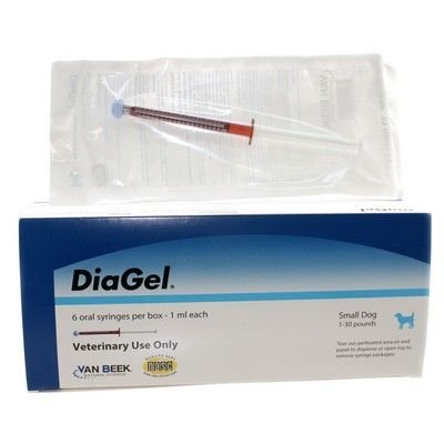 DiaGel 1 mL syringe in action for targeted, gentle administration to a small dog.
