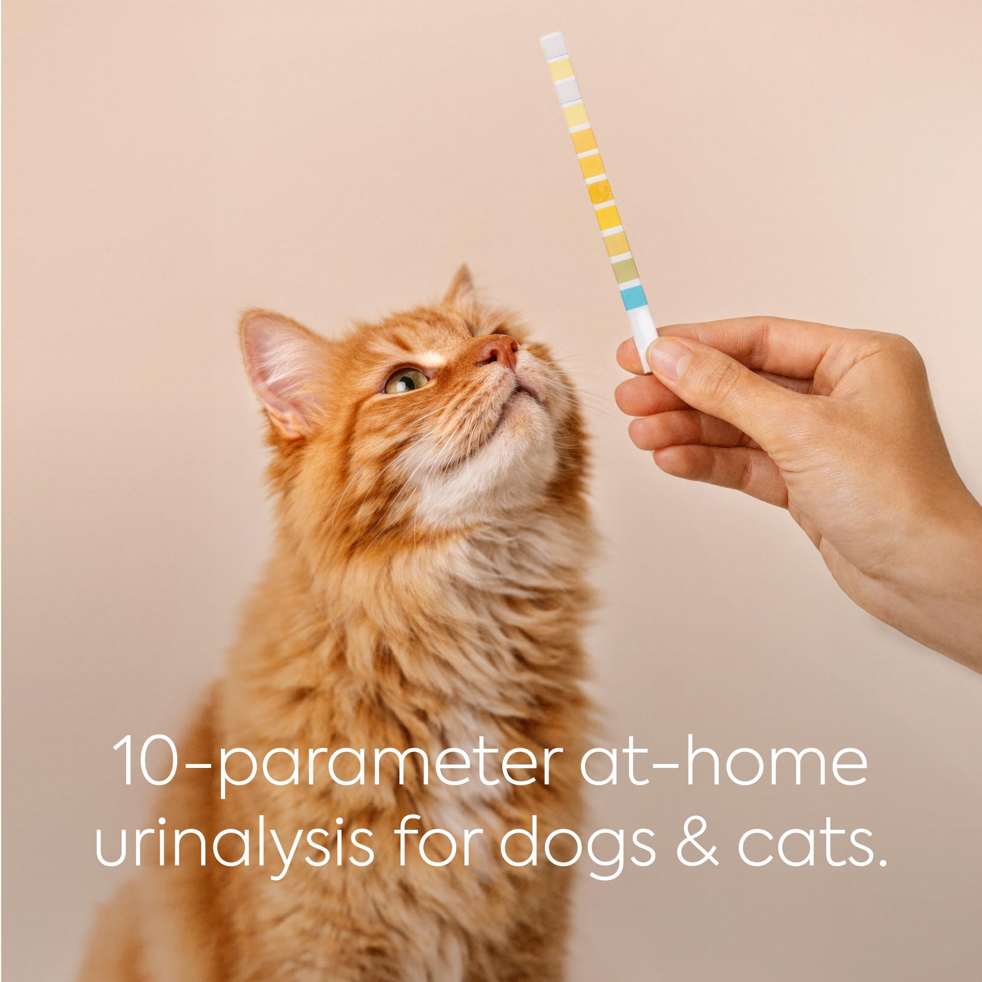 PETNOX comprehensive 10-test panel aids proactive pet care