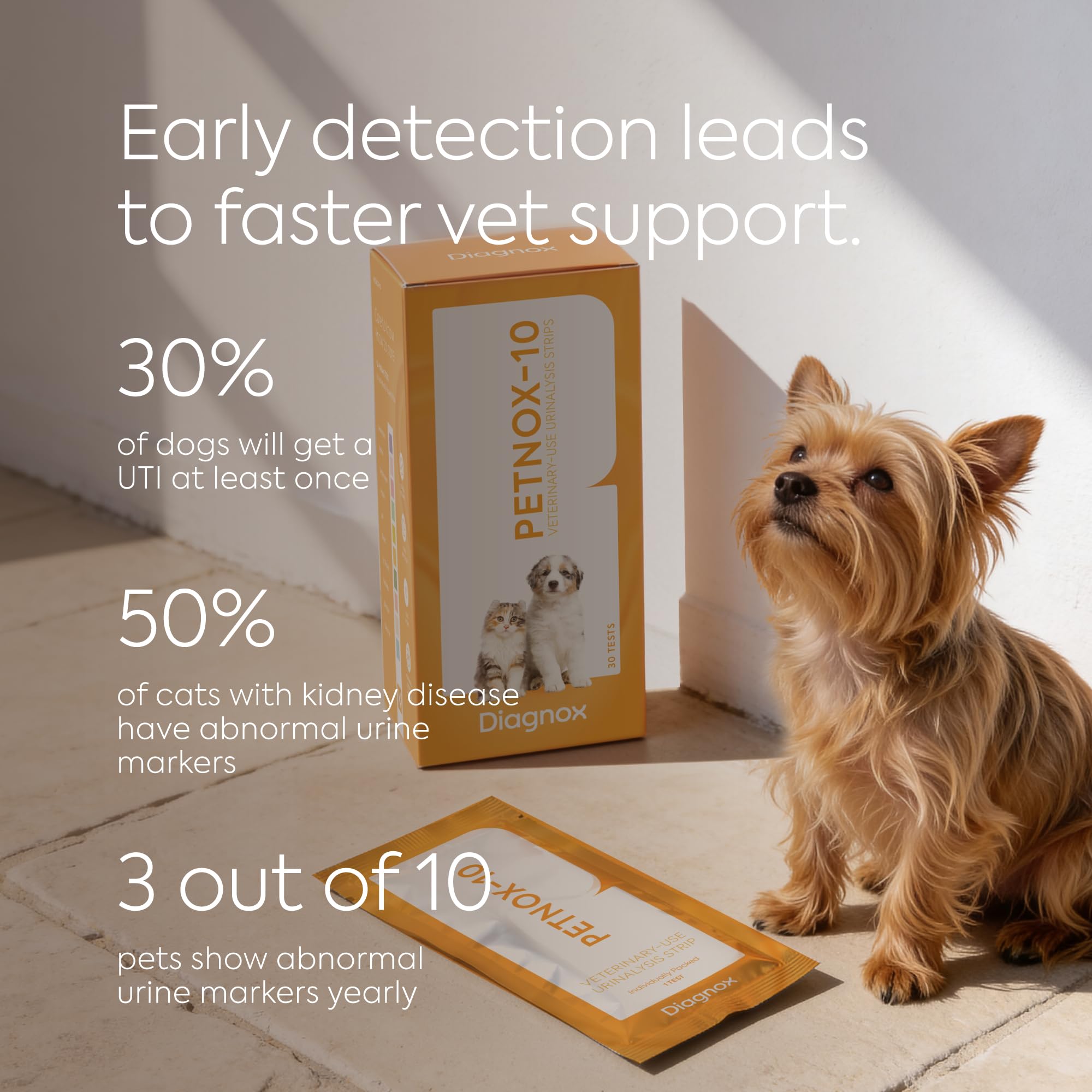 PETNOX easy-to-read results support informed vet conversations