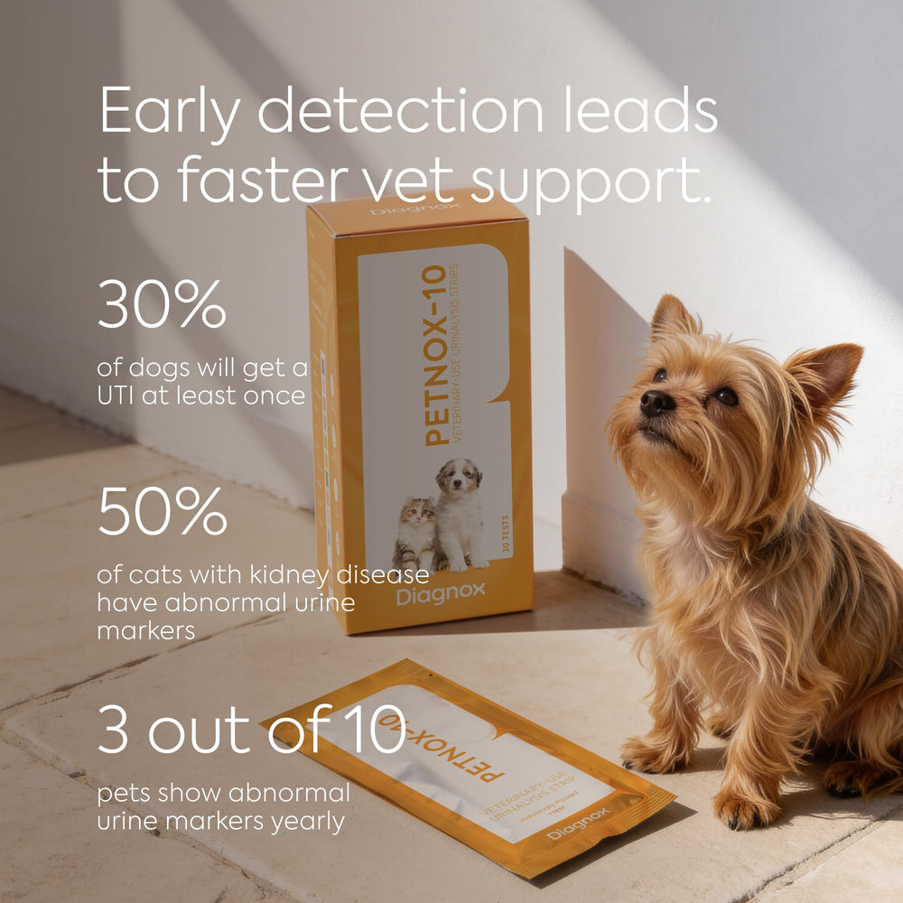 PETNOX easy-to-read results support informed vet conversations