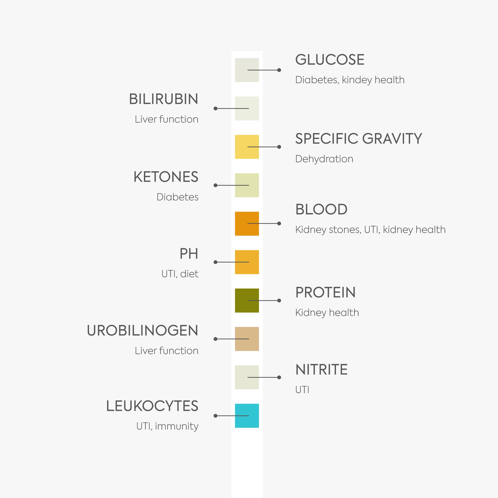 PETNOX urine collection tips help smooth at-home sampling