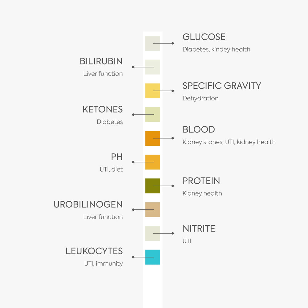 PETNOX urine collection tips help smooth at-home sampling
