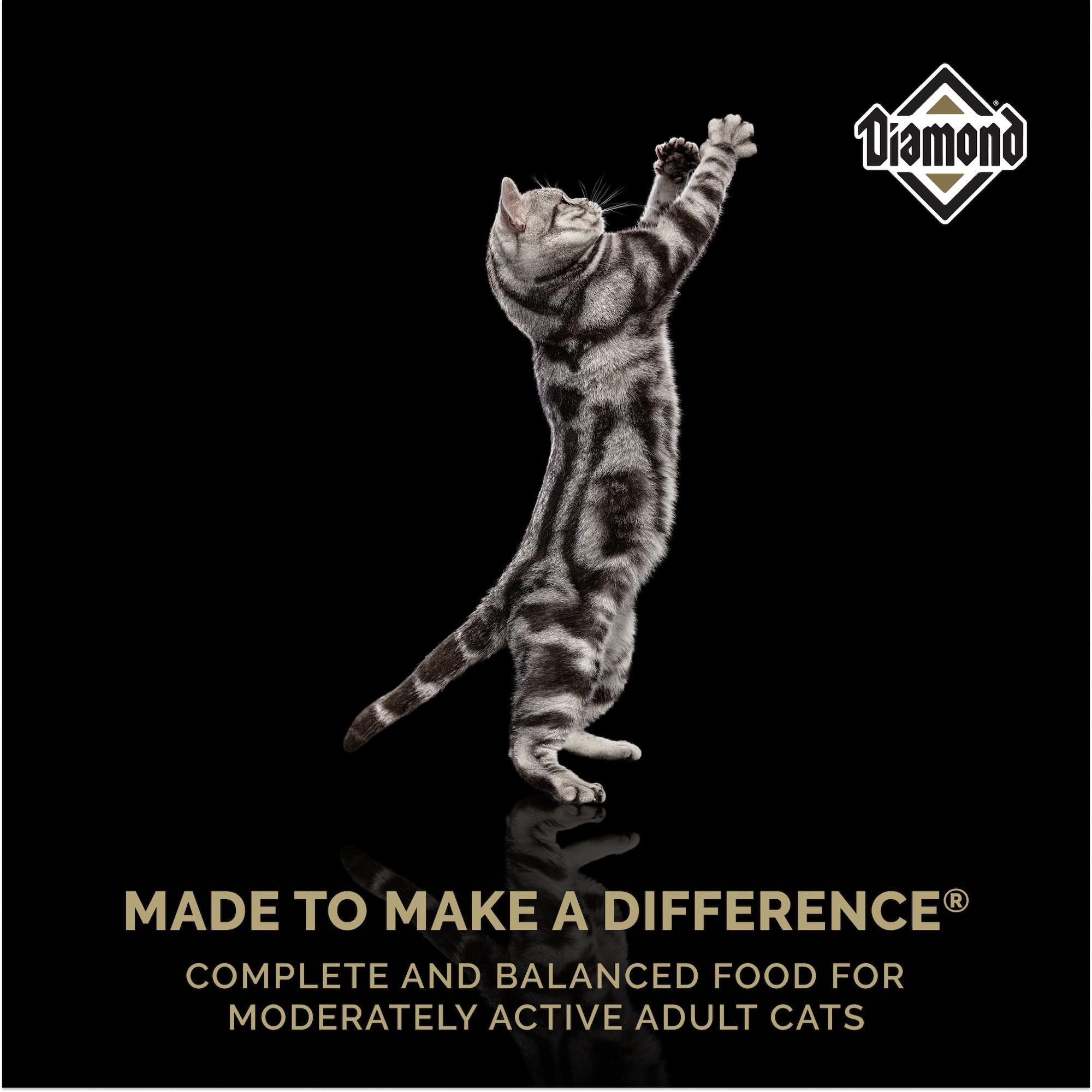 Diamond Legacy maintenance cat bag back—made in USA with trusted ingredients