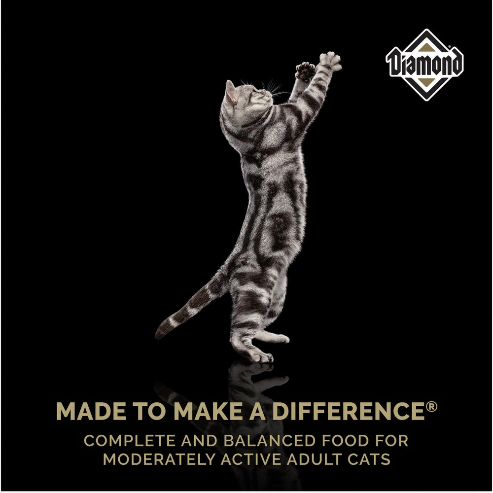 Diamond Legacy maintenance cat bag back—made in USA with trusted ingredients