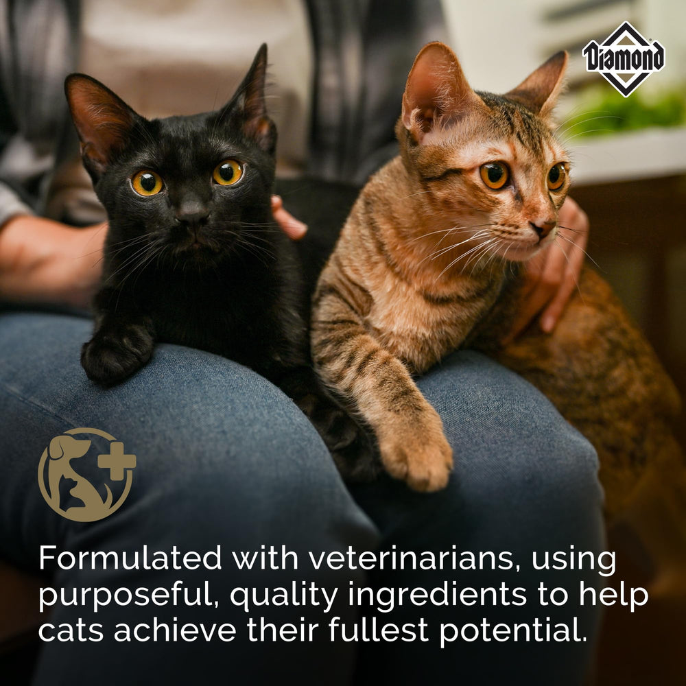 Diamond Legacy maintenance cat dry food back nutrition panel—taurine and omega support
