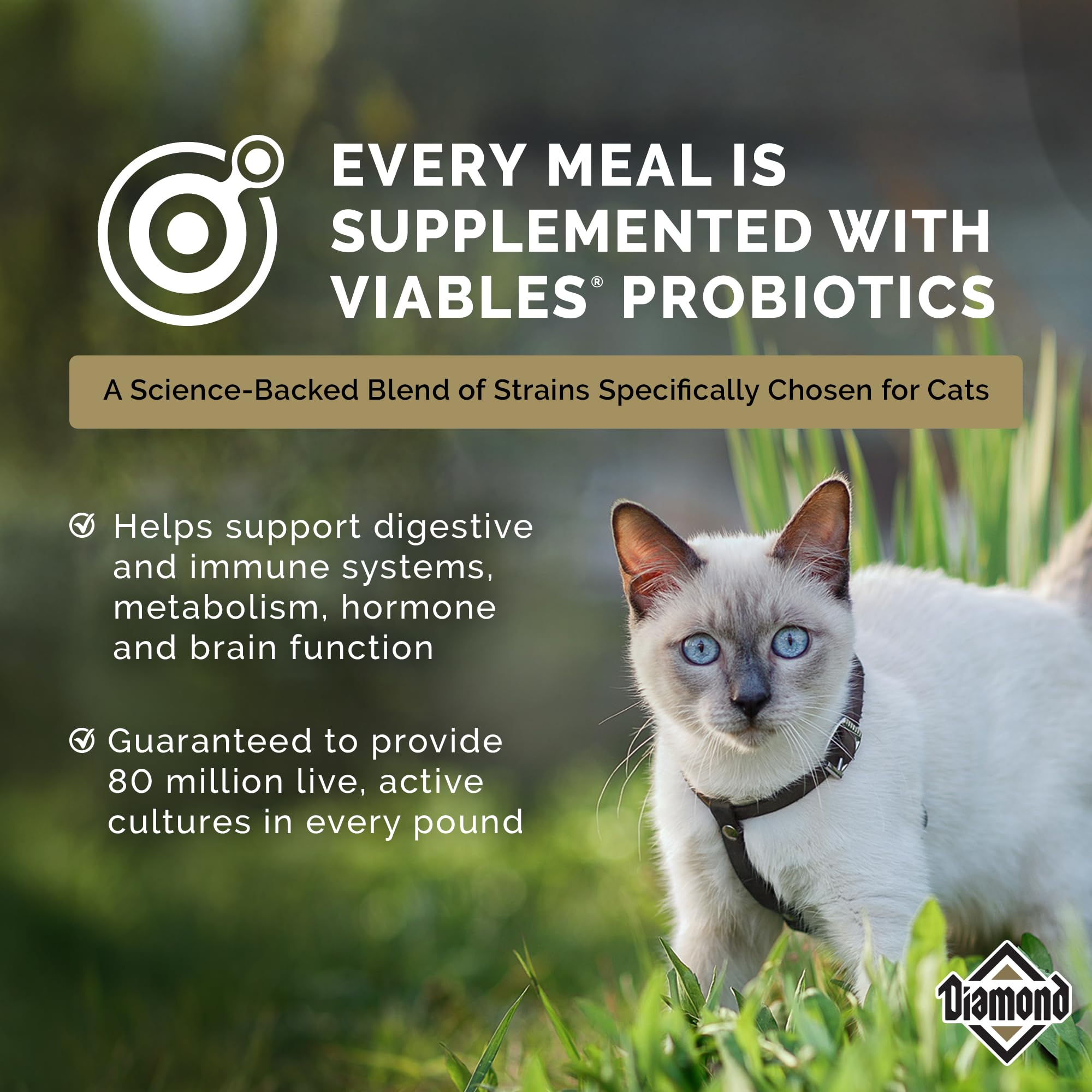 Diamond Legacy maintenance cat serving size—easy measurement for daily servings
