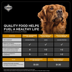 Diamond Maintenance dog bowl with kibble, balanced daily meal.