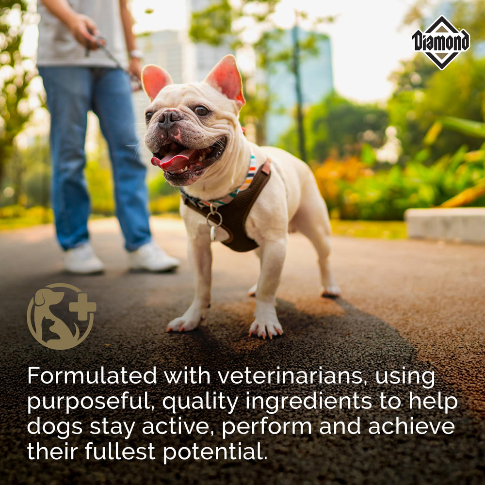 Diamond Maintenance omega fatty acids promote healthy coat and skin.