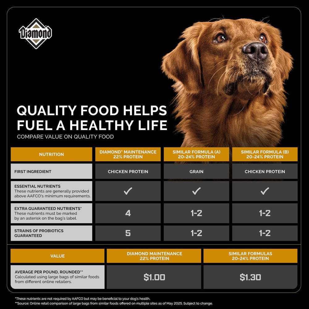 Diamond Maintenance kibble with probiotics supports digestion.