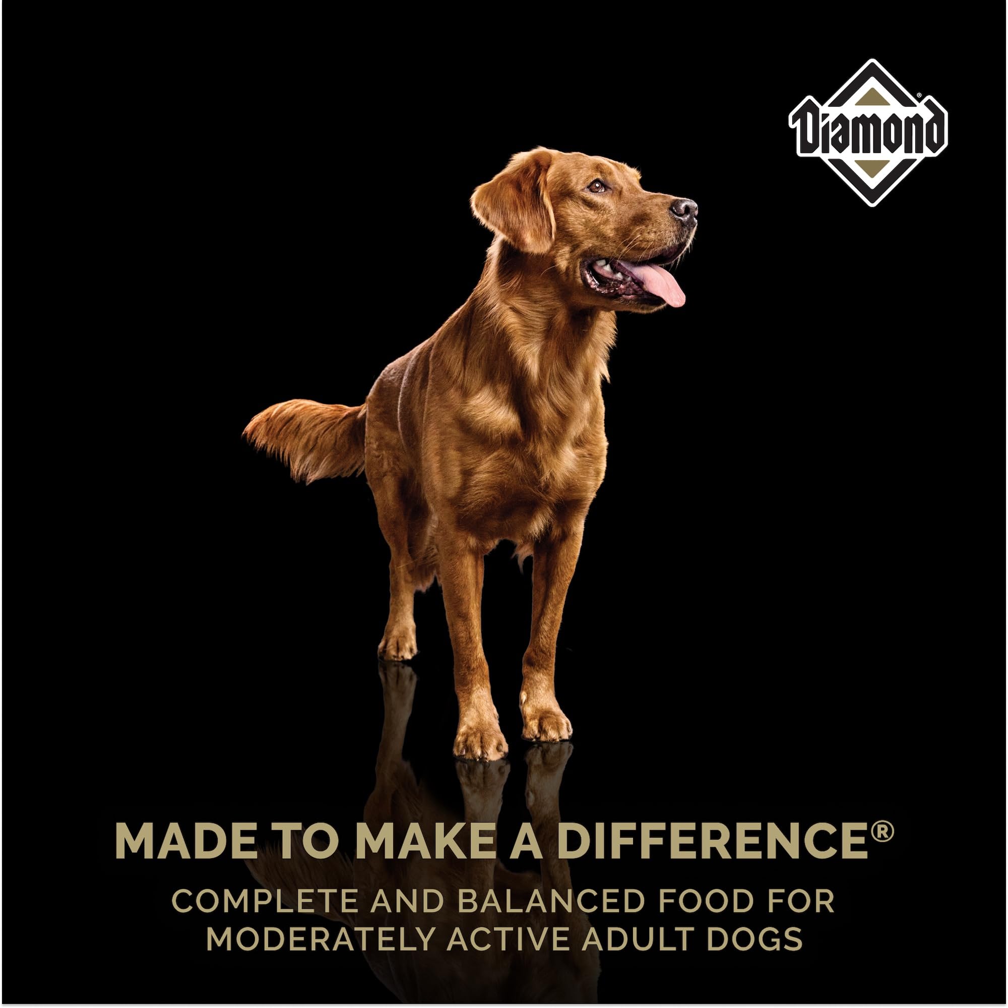 Diamond Maintenance USA-made label, family-owned manufacturing.