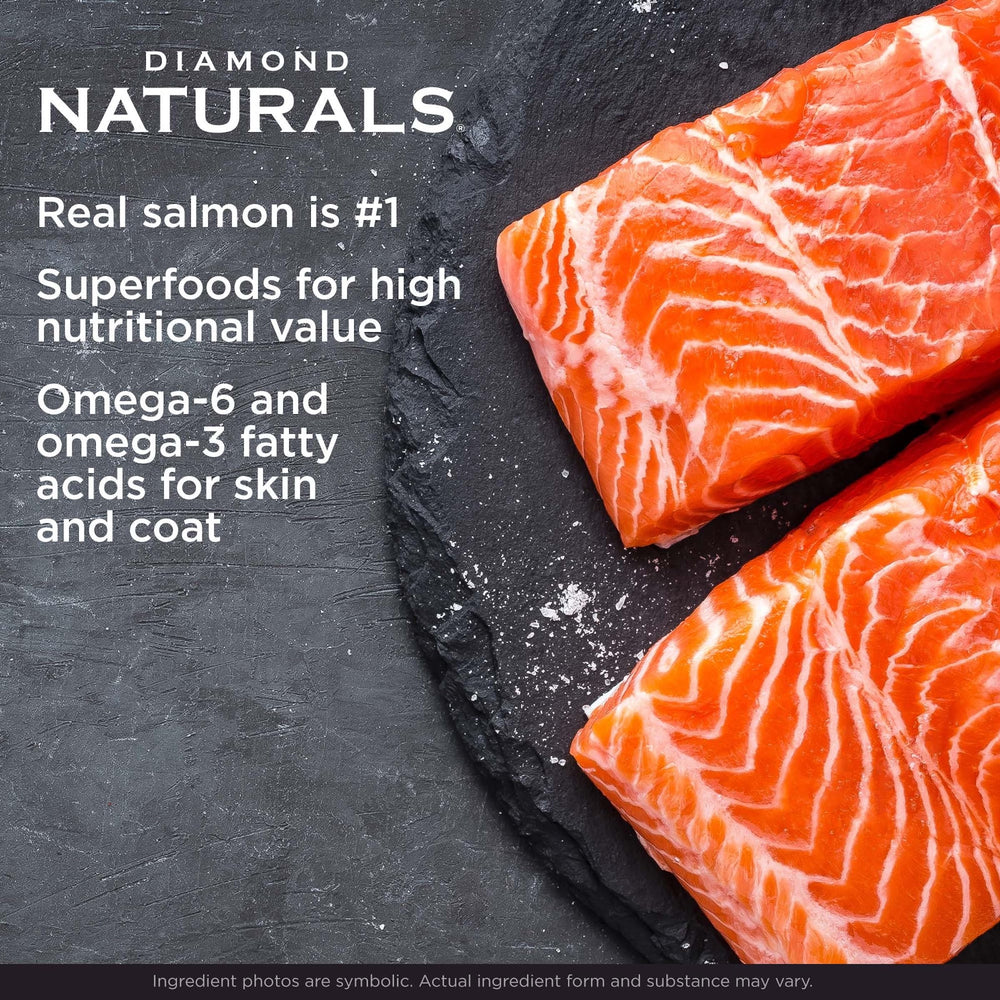 Diamond Naturals dog eating from bowl showcases a nourishing salmon-based meal.
