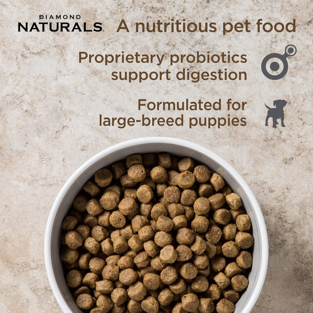 Diamond Naturals Large Breed Puppy kibble closeup emphasizing protein-rich bites for growth.