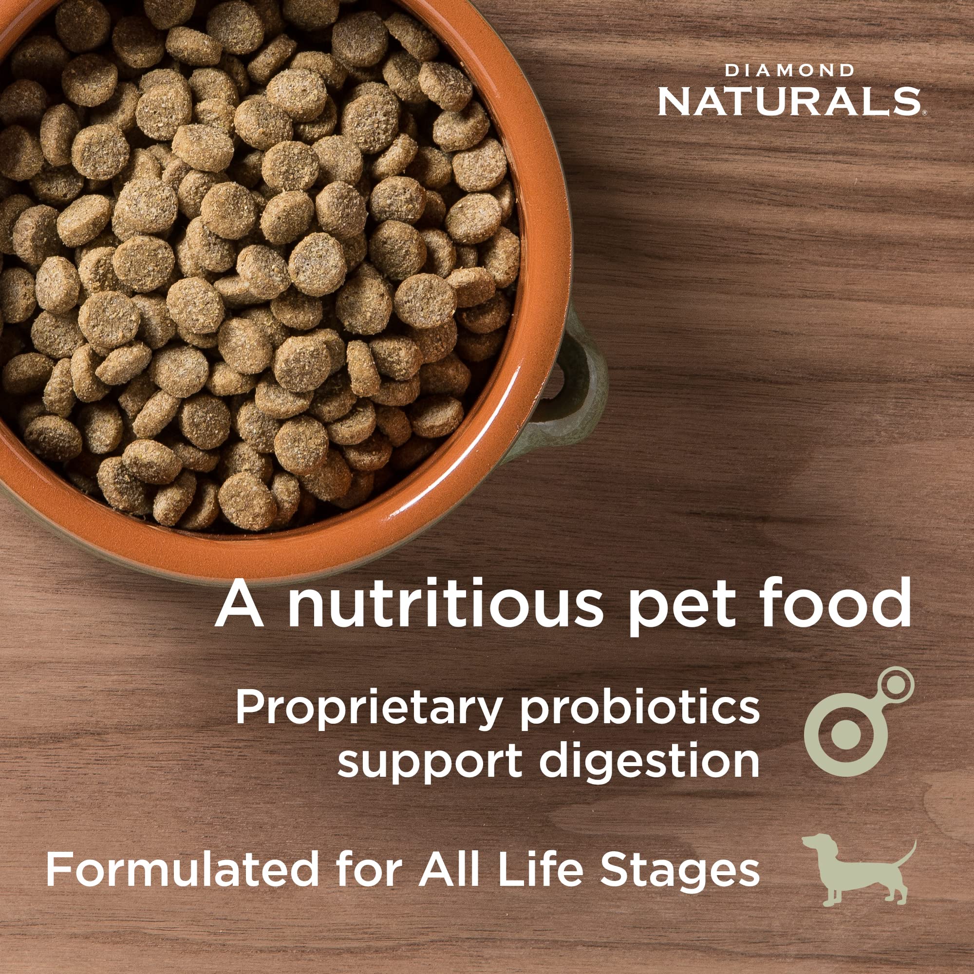 Diamond Naturals real salmon ingredient label highlights premium protein