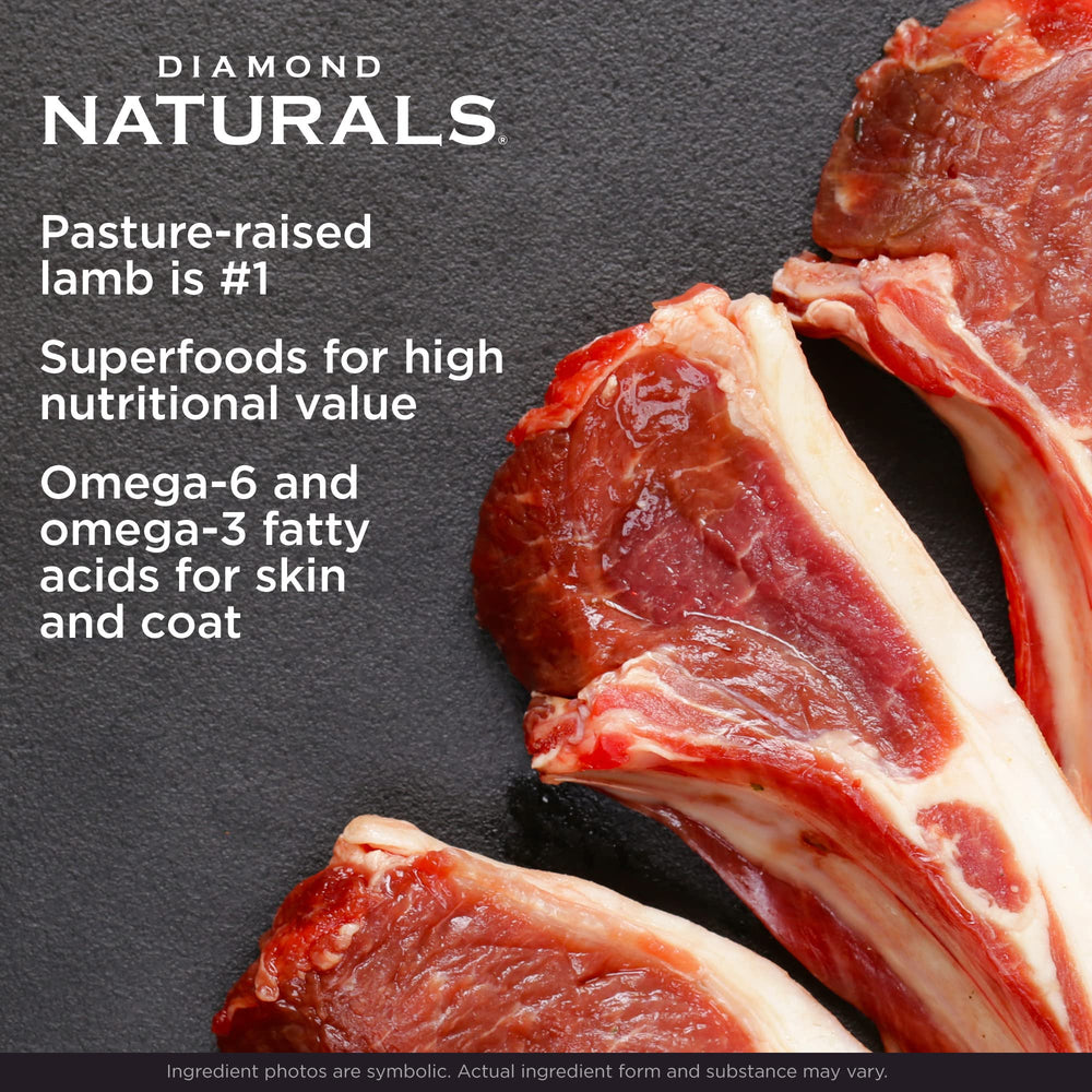 Diamond Naturals small breed lamb and rice superfoods blueberries oranges for immune support.