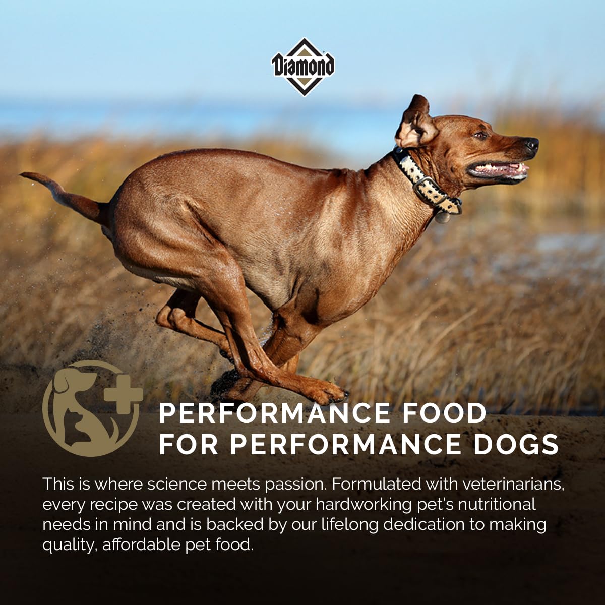 Diamond Performance features 83% animal-sourced protein for muscle nourishment.