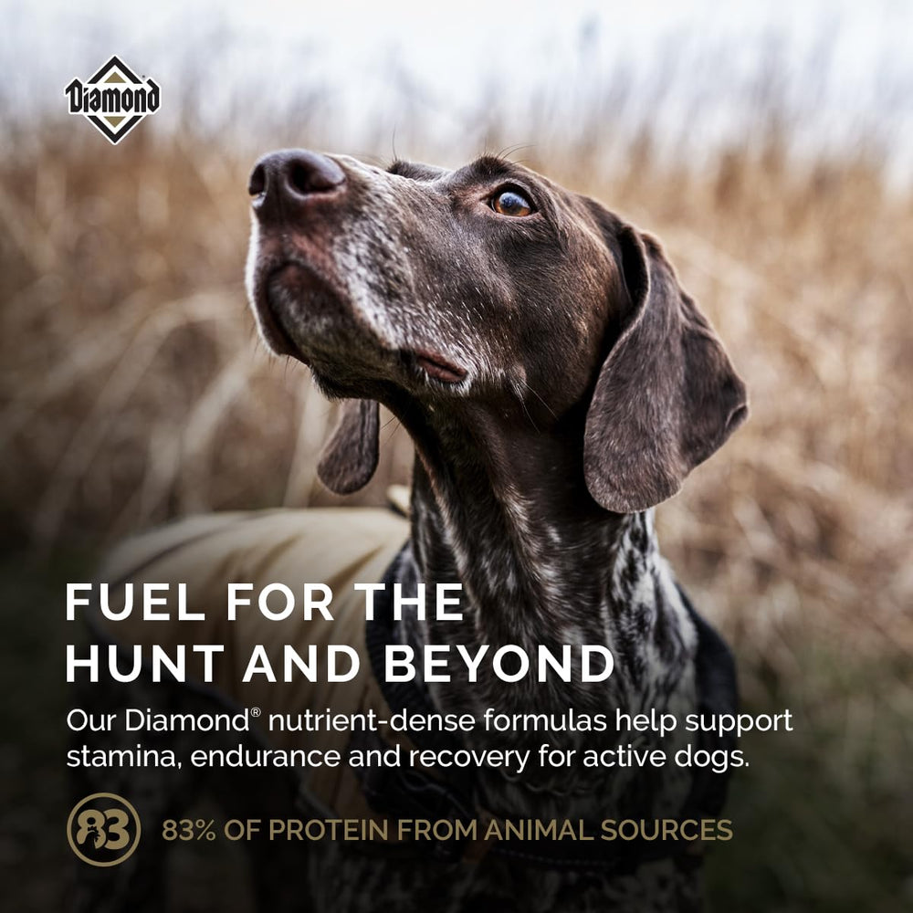 Diamond Performance DHA to support brain and vision development in dogs.