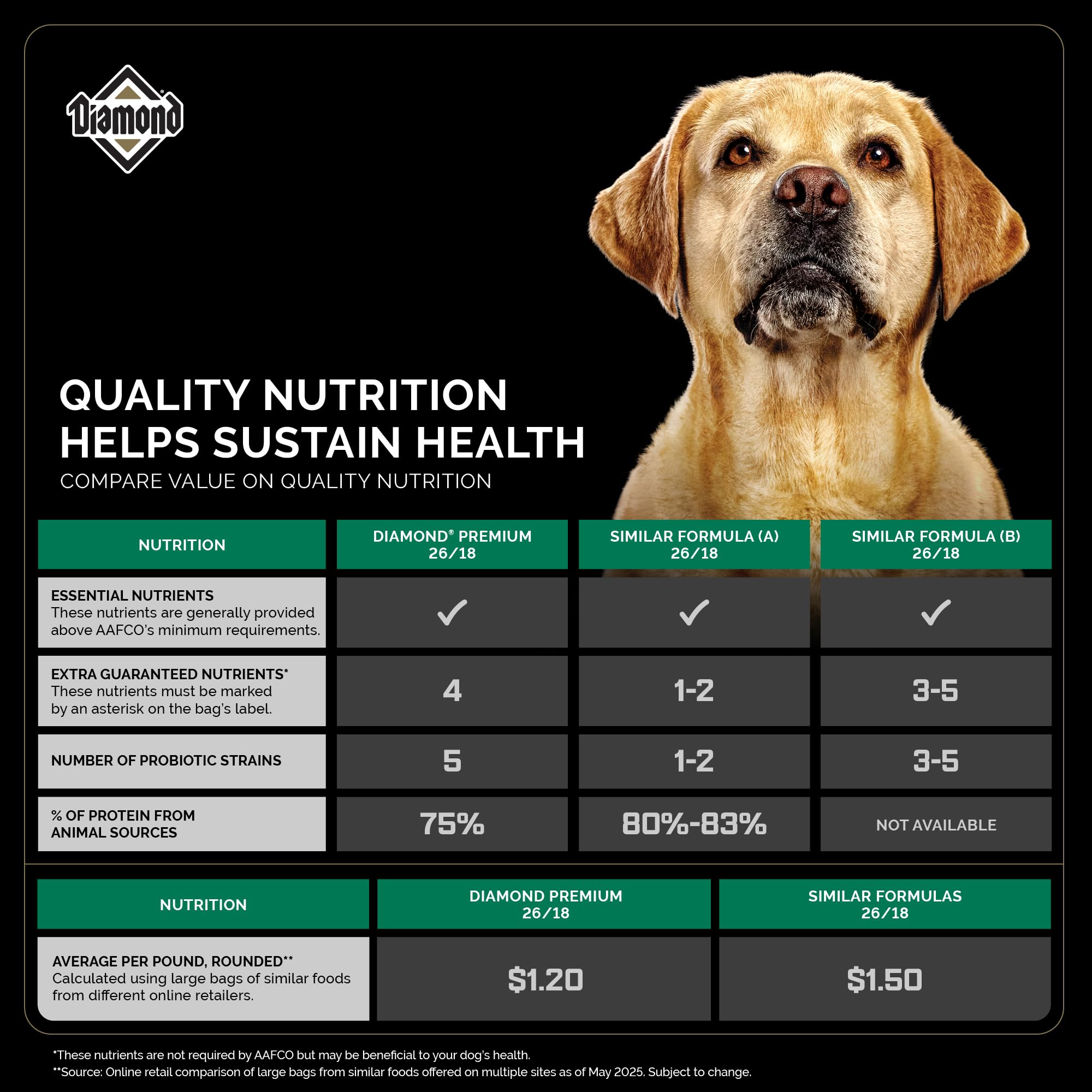 Dog bowl with Diamond Premium ready to be served for daily activity