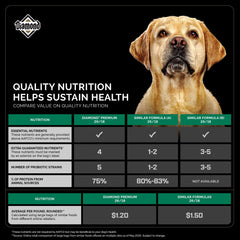 Dog bowl with Diamond Premium ready to be served for daily activity