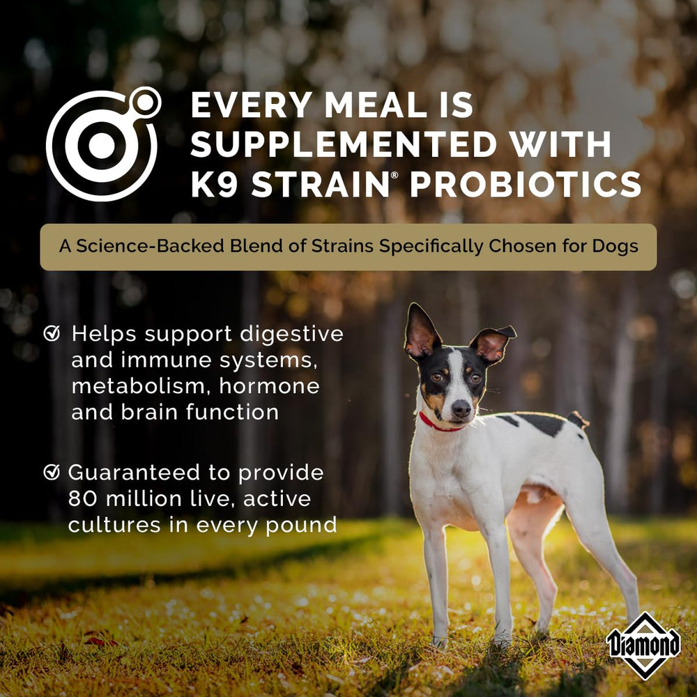 Glucosamine joint support featured in Diamond Premium formula