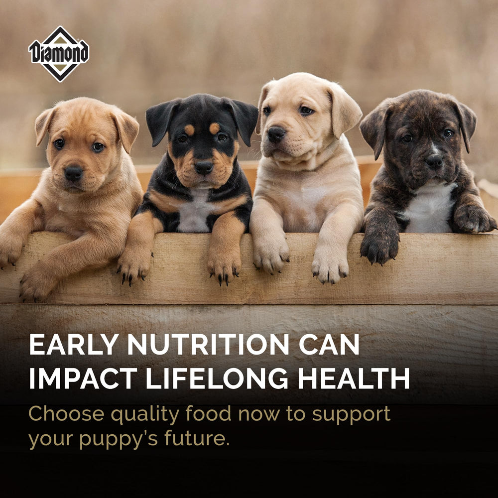 Probiotics and antioxidants in Diamond Puppy aid digestion and immunity.