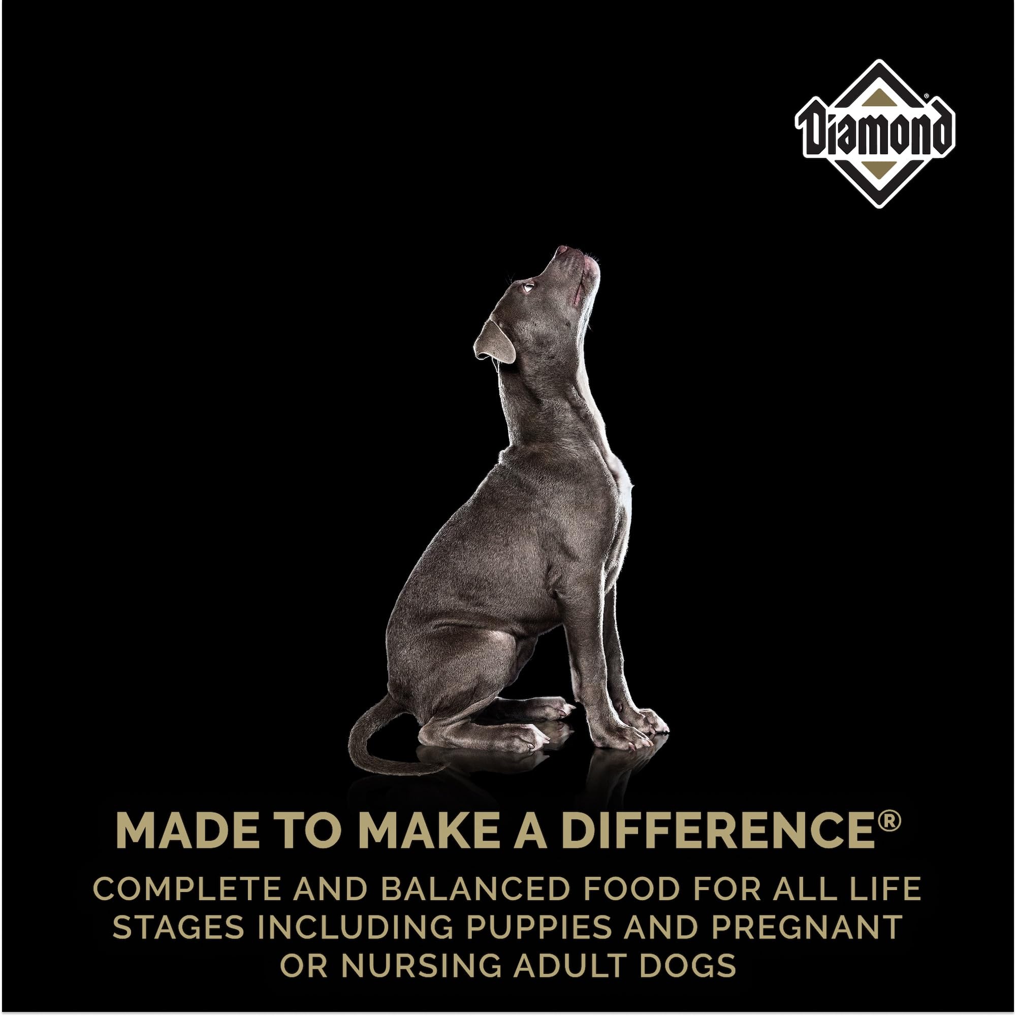 USA-made Diamond Puppy from a family-owned brand.