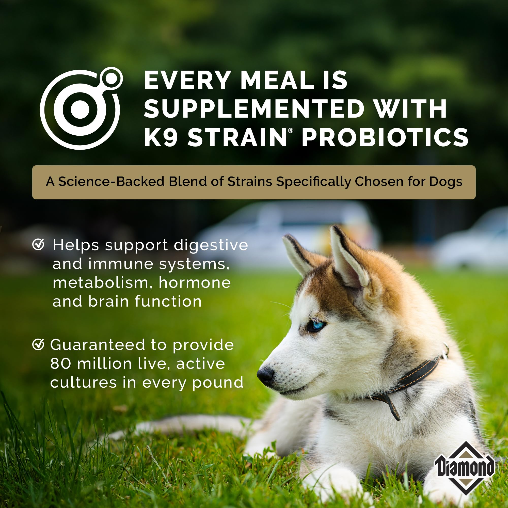 Diamond Puppy DHA detail supports brain and vision development in early life.
