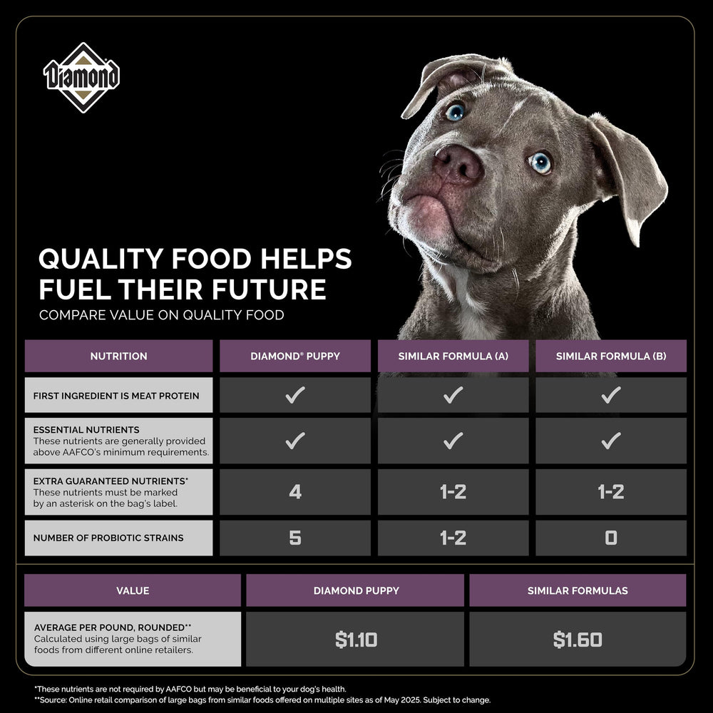 Diamond Puppy kibble closeup, texture detail for puppy meals.