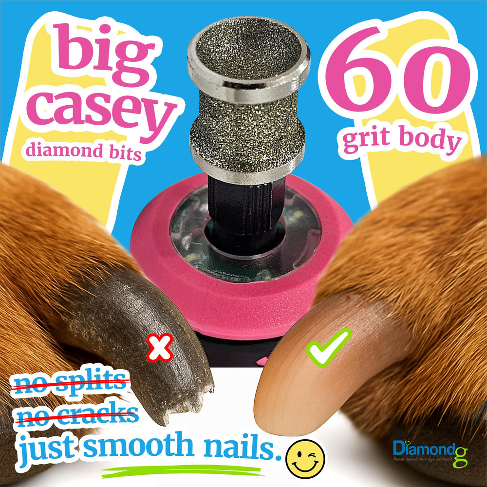 Diamondg dog nail grinder bit with 120 grit polishing tip for smooth edges